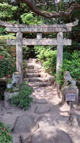 三輪晁勢　芍薬 三輪晁勢 芍薬 三輪晁勢（みわちょうせい）の作品 - 絵のある暮らし・